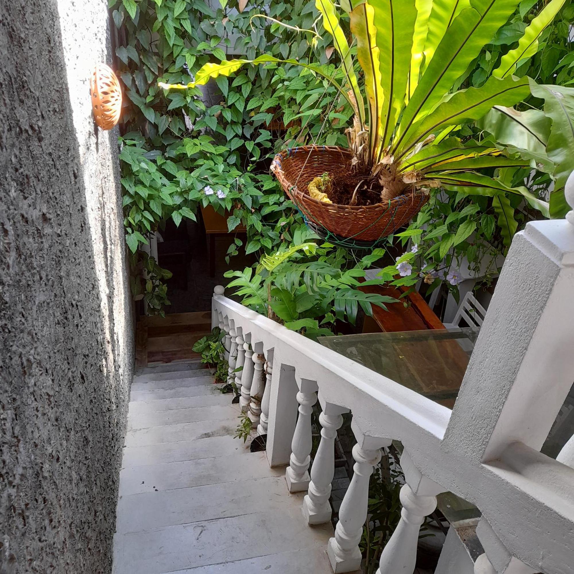 Shoba Traveller'S Tree Homes Stay Galle Exterior foto