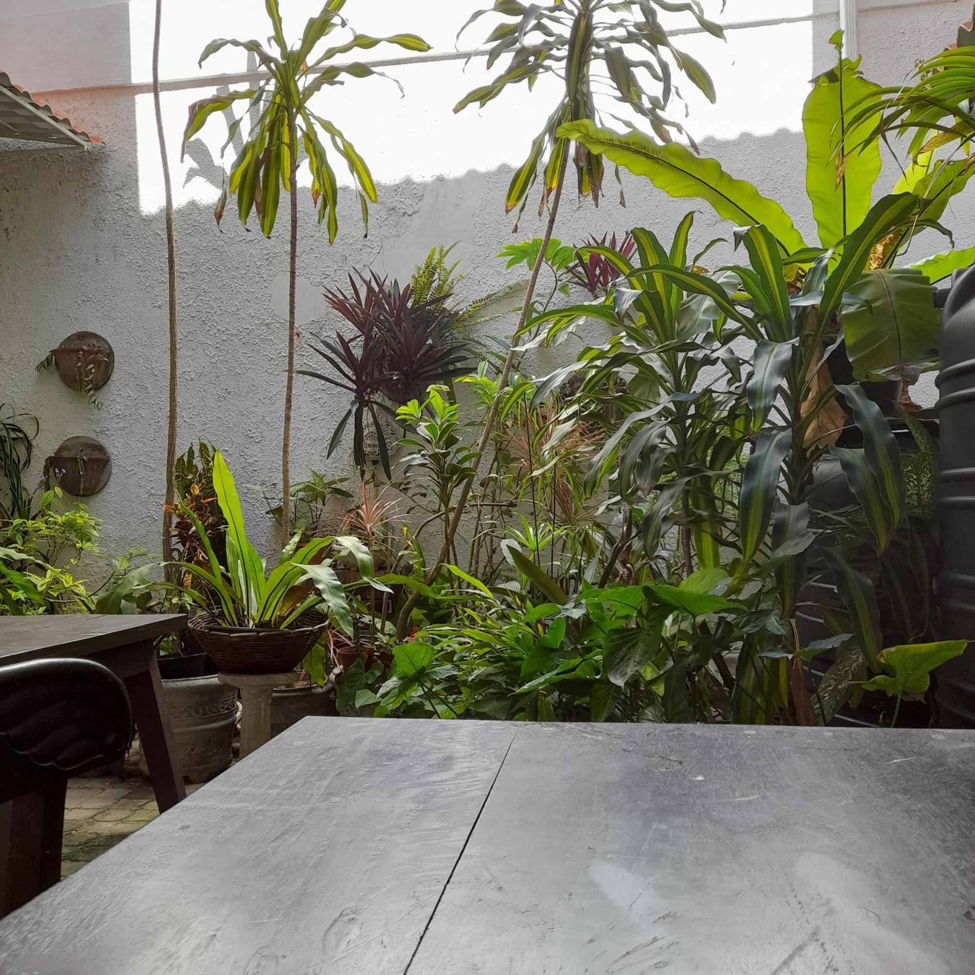 Shoba Traveller'S Tree Homes Stay Galle Exterior foto